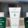 Leave-in Ginko Biloba Fortalecimento 180g - Image 4