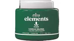 Mask Ginko Biloba Fortalecimento 250g