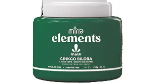 Mask Ginko Biloba Fortalecimento 250g